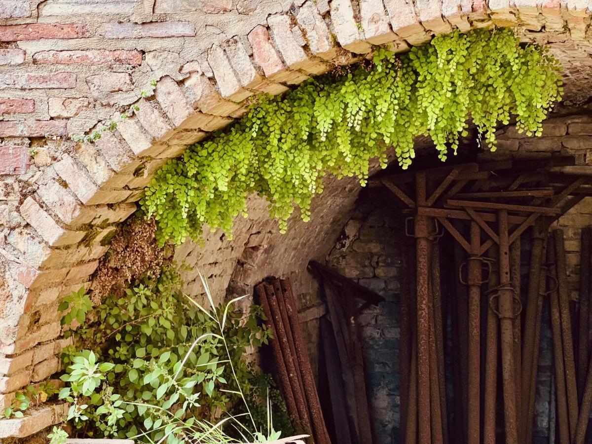 Appartement Le Fonti Di San Gimignano Extérieur photo